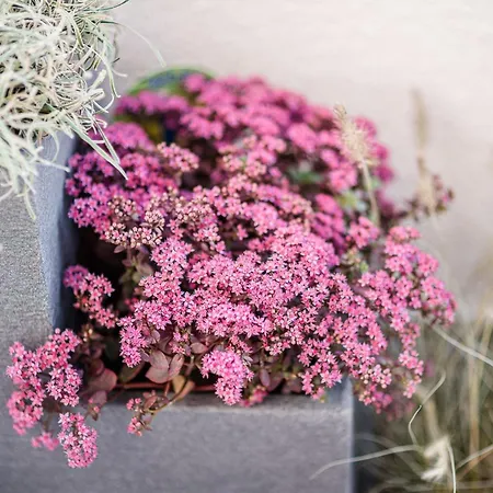 Luxus Penthouse Sundowner شقة *